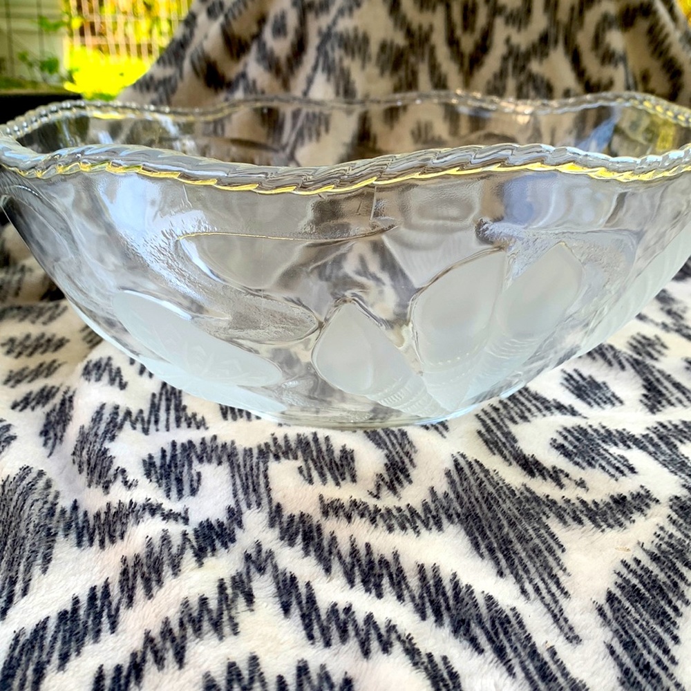 Nautilus crystal